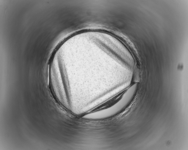 X0000098171175200805221509