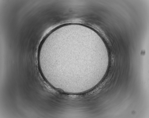 X0000098171176200805221509