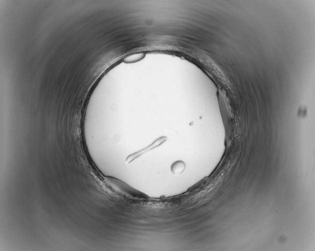 X0000098171177200805221509