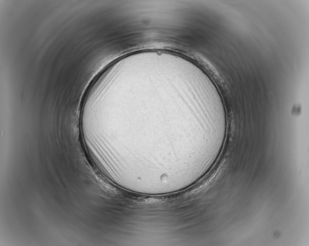 X0000098171178200805221509