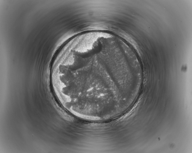 X0000098171179200805221509