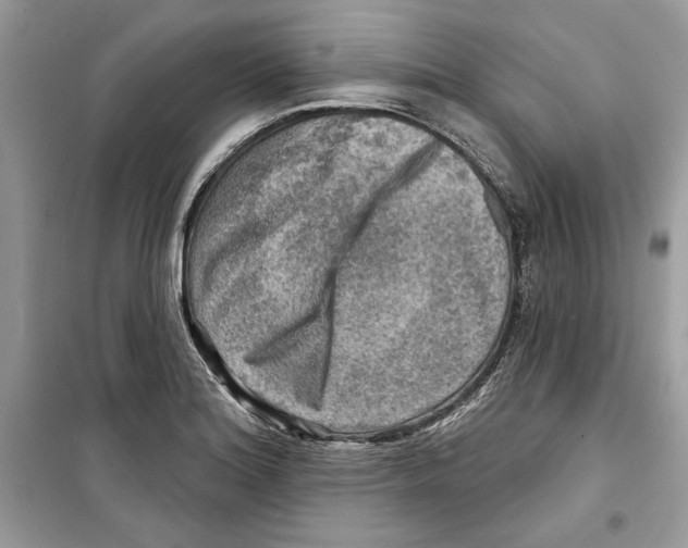 X0000098171180200805221509