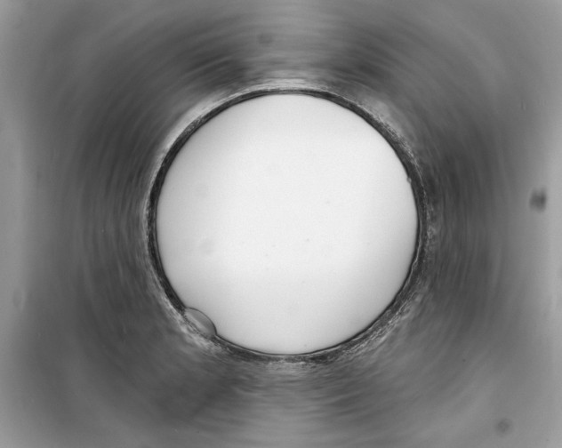 X0000098171181200805221509