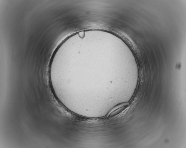 X0000098171182200805221509