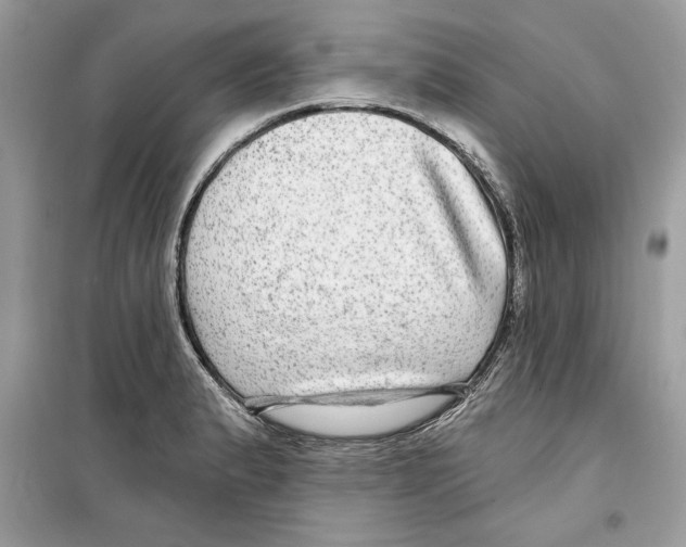 X0000098171183200805221509