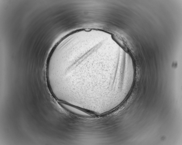 X0000098171184200805221509