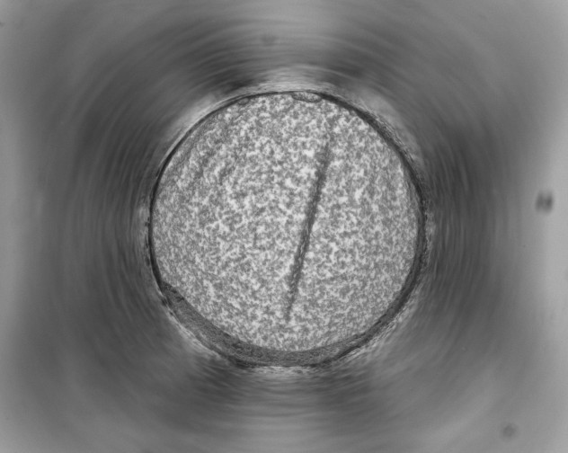 X0000098171185200805221509