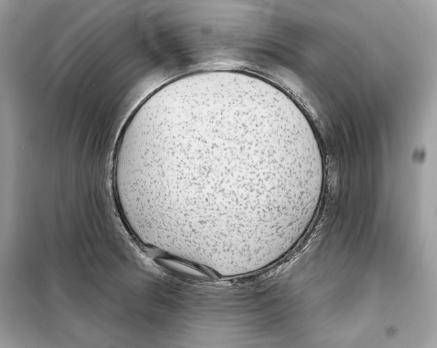 X0000098171186200805221509