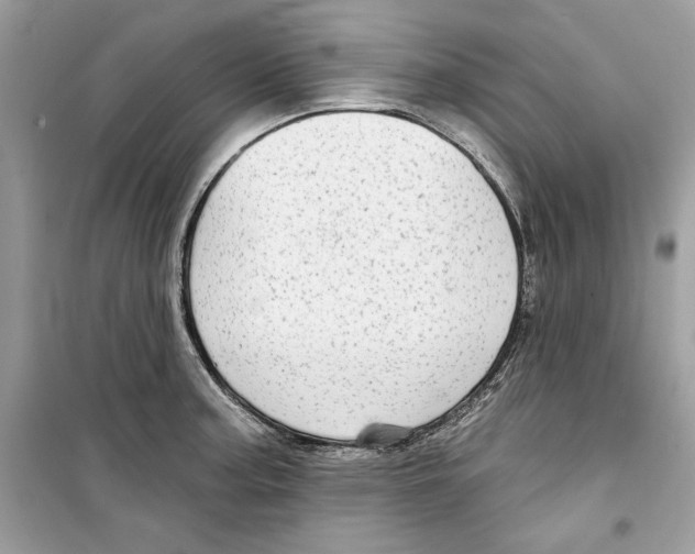 X0000098171187200805221509