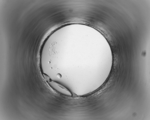 X0000098171188200805221509