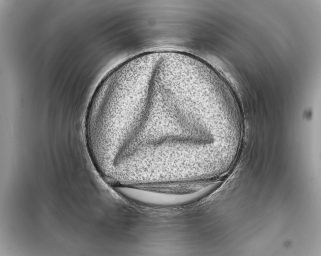 X0000098171189200805221509