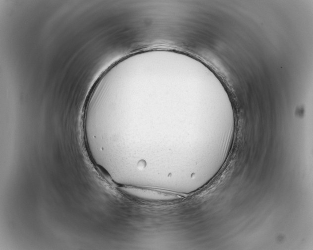 X0000098171190200805221509