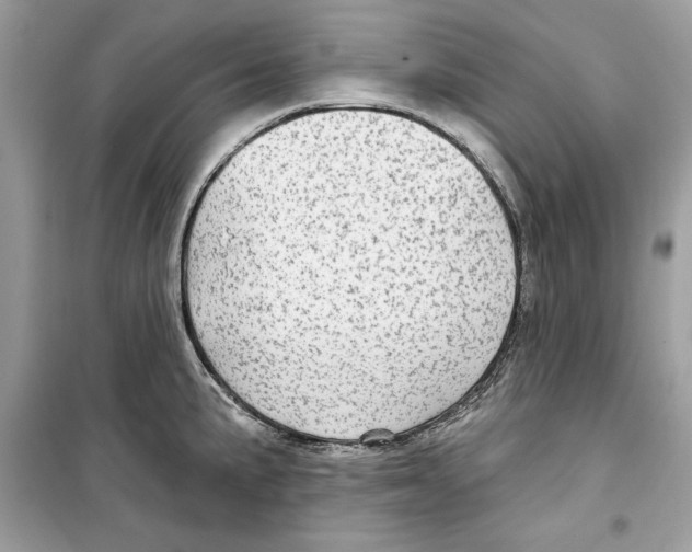 X0000098171191200805221509