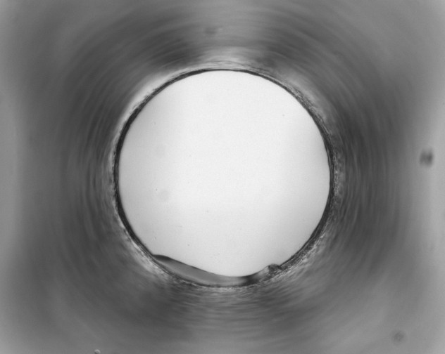 X0000098171192200805221509