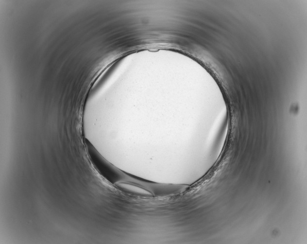 X0000098171193200805221509