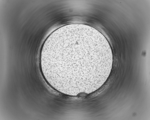 X0000098171195200805221508