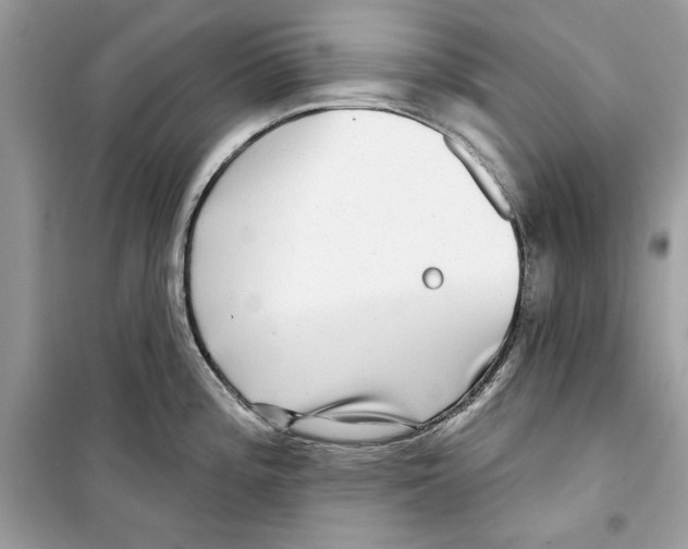 X0000098171196200805221508