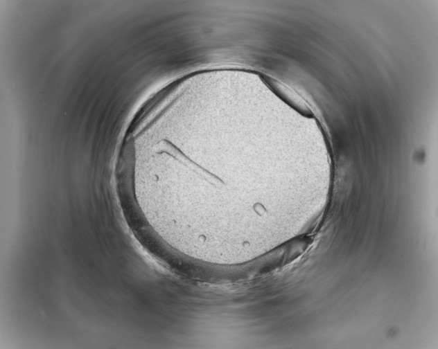 X0000098171197200805221508