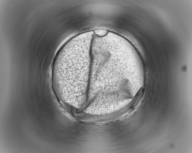 X0000098171198200805221508