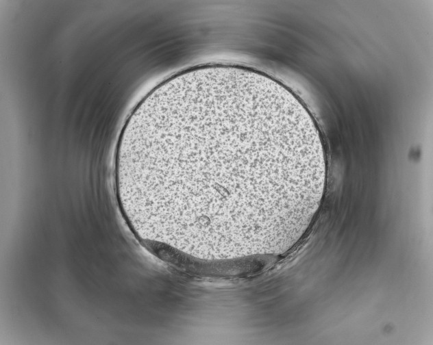 X0000098171199200805221508