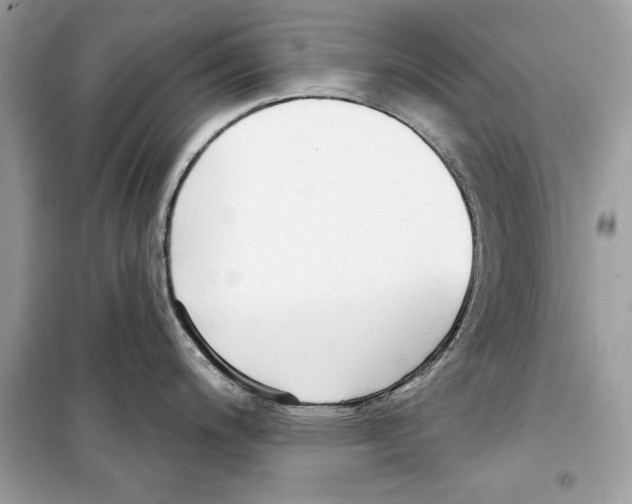 X0000098171200200805221508