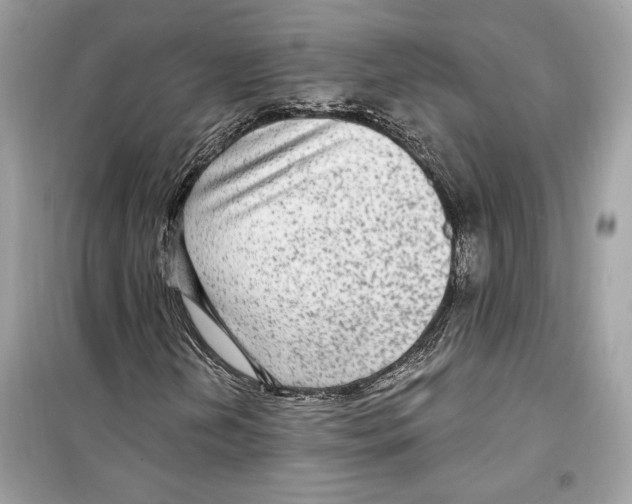 X0000098171202200805221508