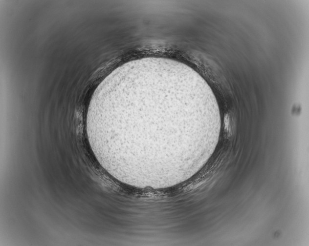 X0000098171203200805221508