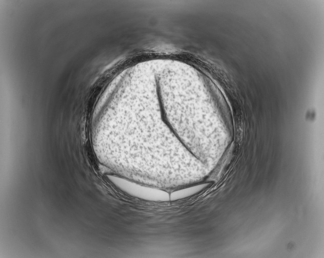 X0000098171205200805221508