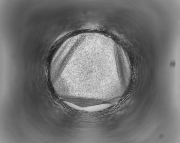 X0000098171206200805221508