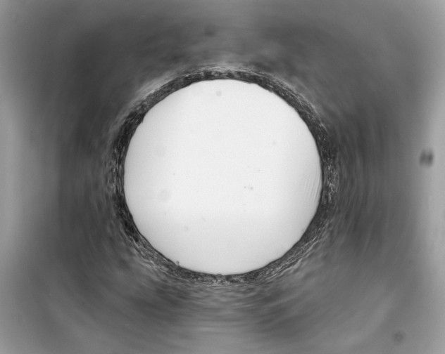 X0000098171207200805221508