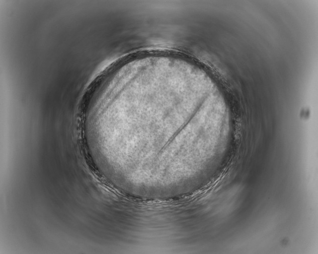 X0000098171208200805221508