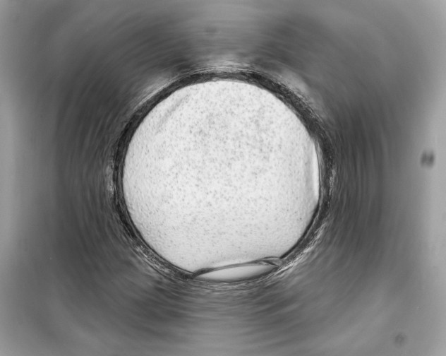 X0000098171209200805221508