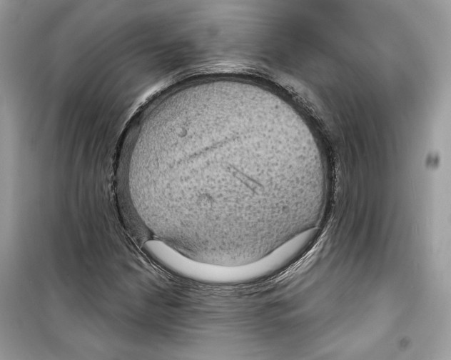 X0000098171210200805221508