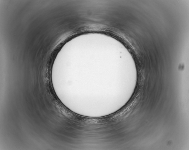 X0000098171211200805221508