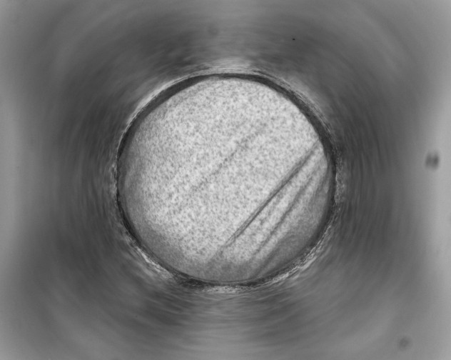 X0000098171212200805221508