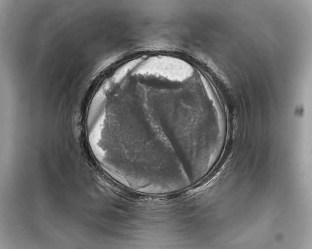 X0000098171213200805221508