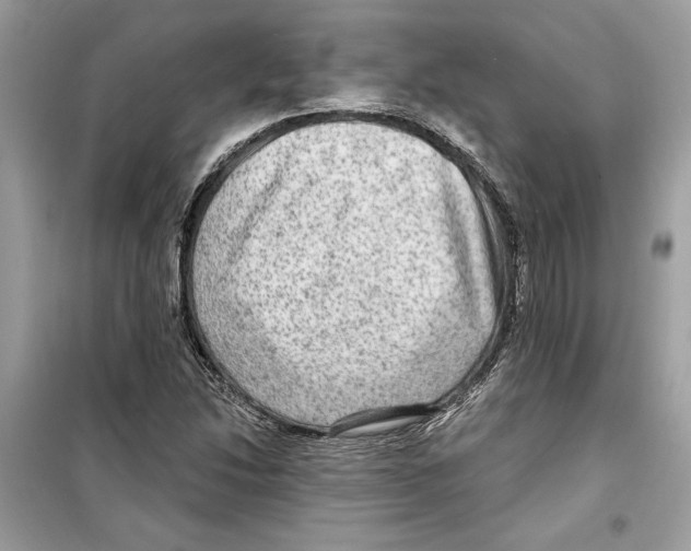 X0000098171214200805221508