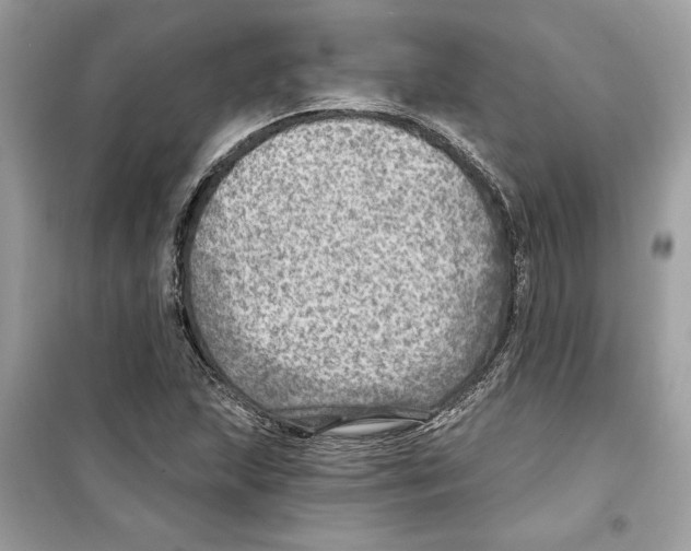 X0000098171215200805221508