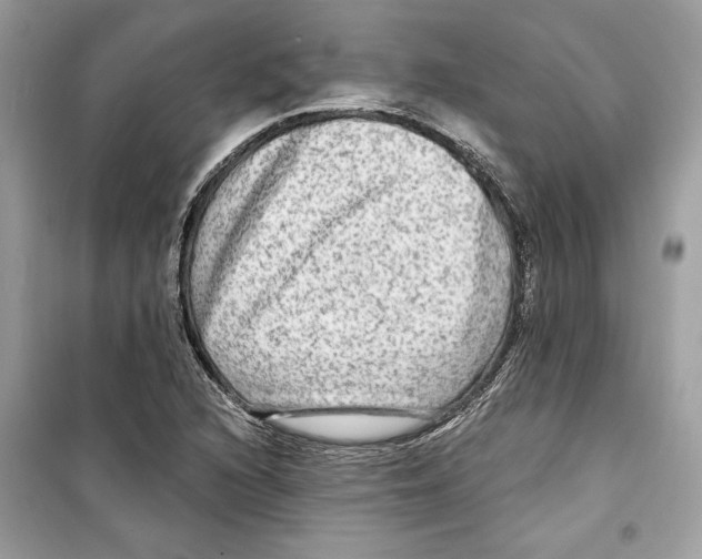 X0000098171216200805221508