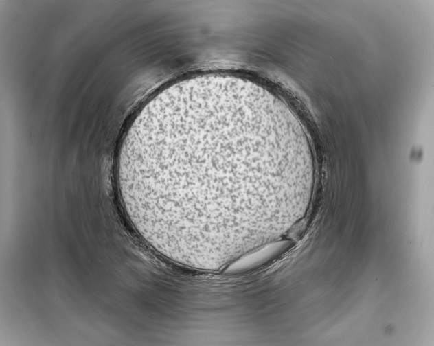 X0000098171217200805221508