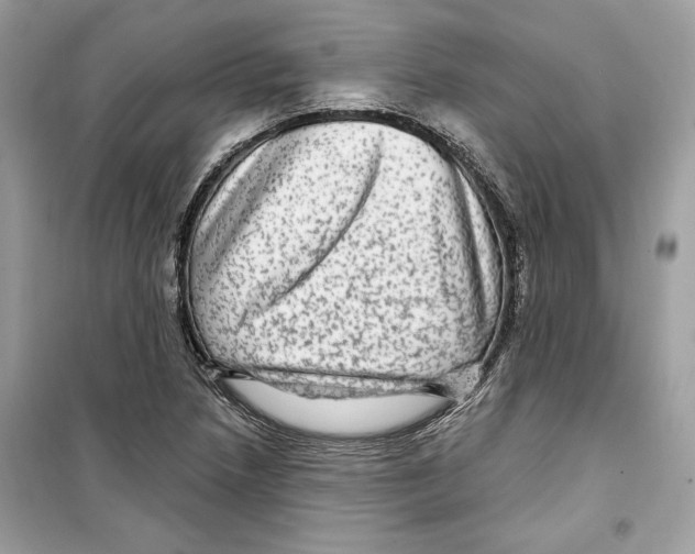 X0000098171218200805221508