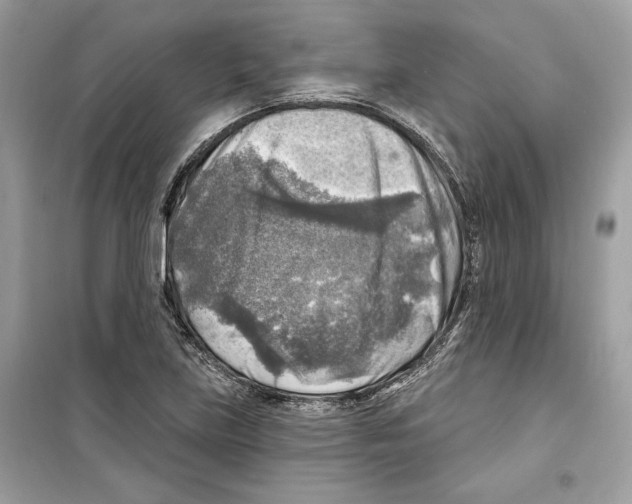 X0000098171219200805221508