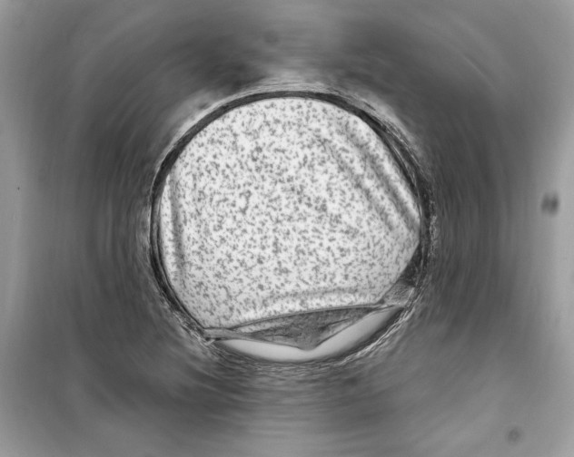 X0000098171220200805221508