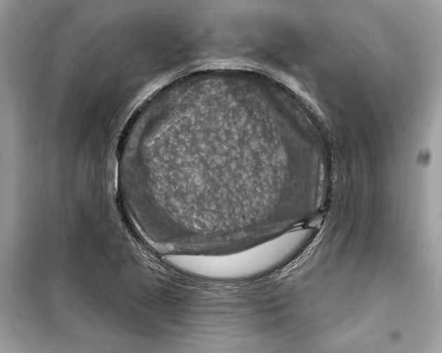 X0000098171221200805221508