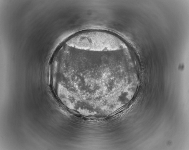 X0000098171223200805221508