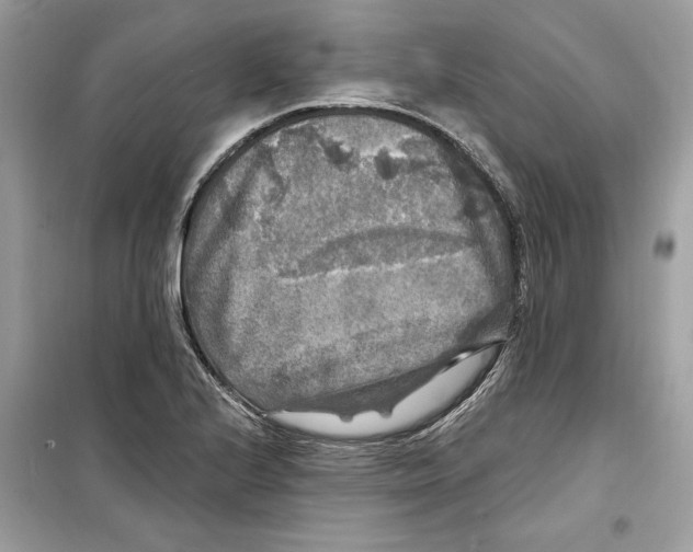 X0000098171224200805221508