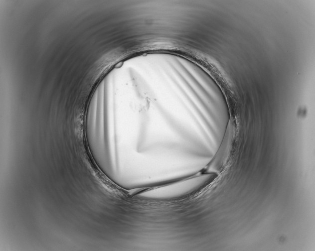 X0000098171225200805221508