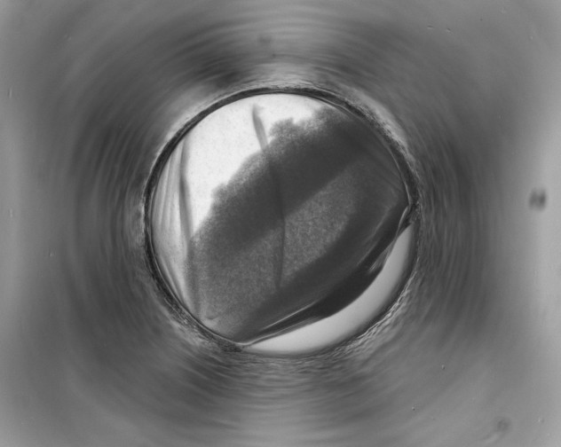 X0000098171226200805221508