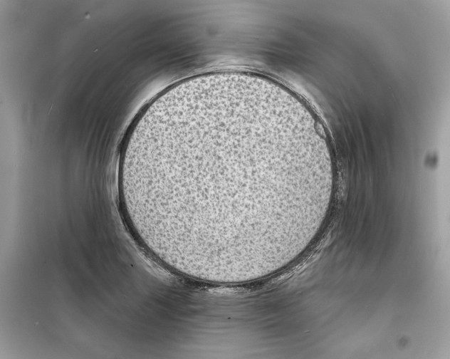 X0000098171227200805221508