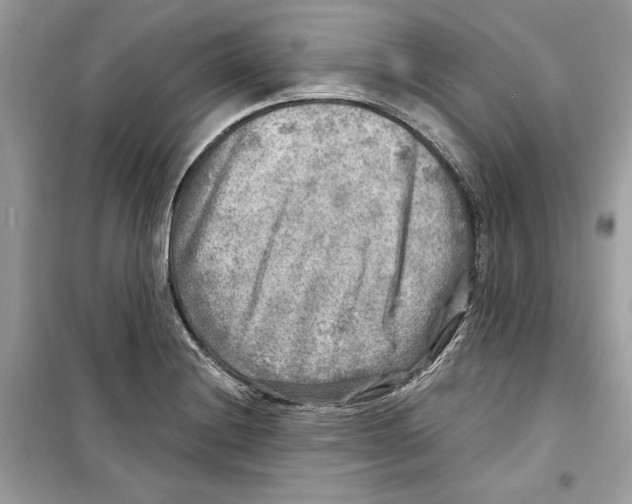 X0000098171228200805221508